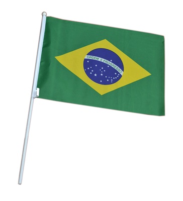 Bandeira do Brasil com Haste