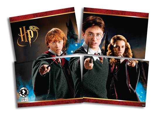 Painel 4 Lminas Harry Potter - Festcolor